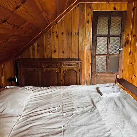 W Lesie Semesterbostad *